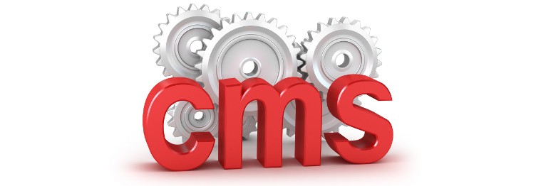 70638529_Cropped_CMS_Banner.jpg